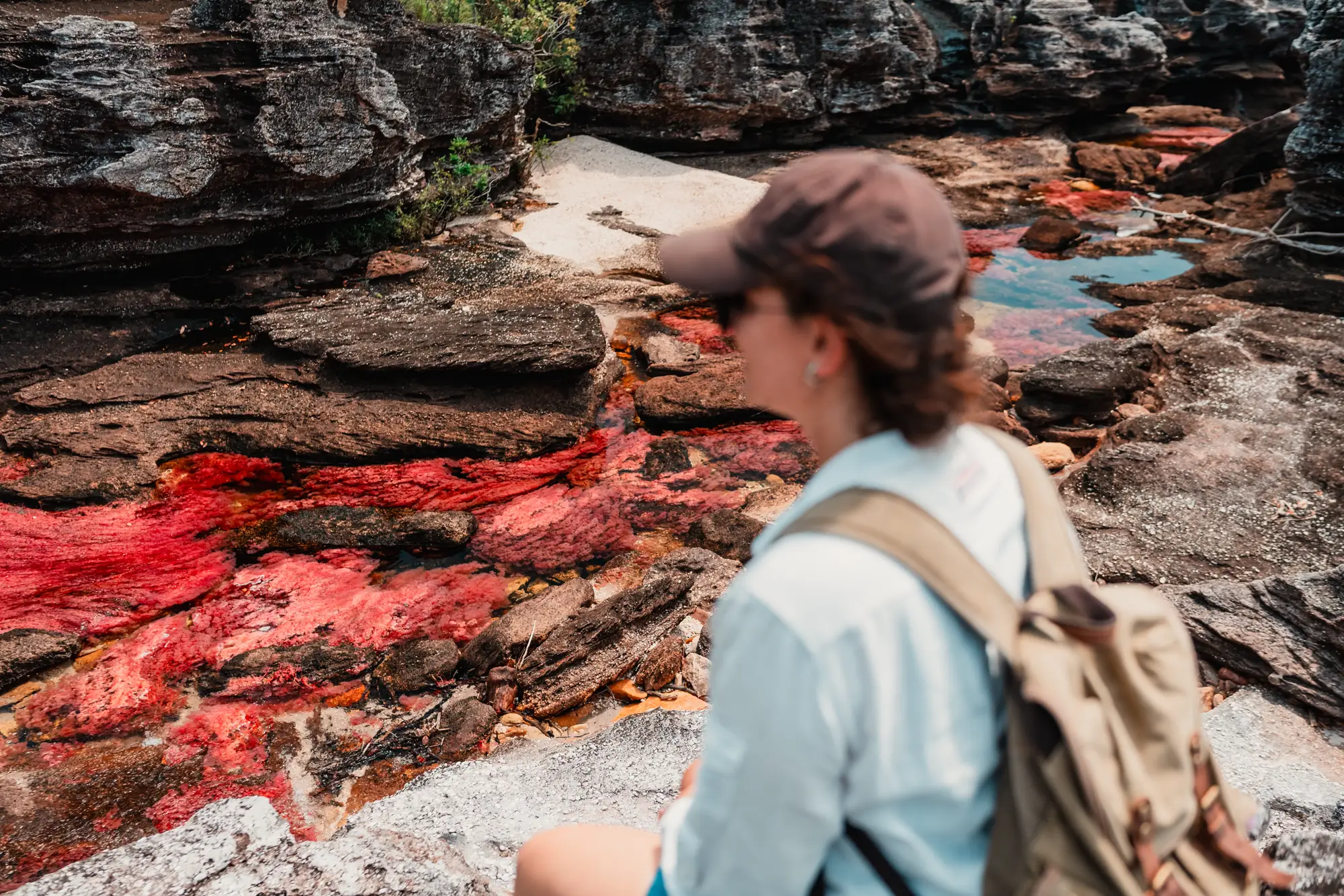 A traveller looking over the red river plants of Caño Cristales