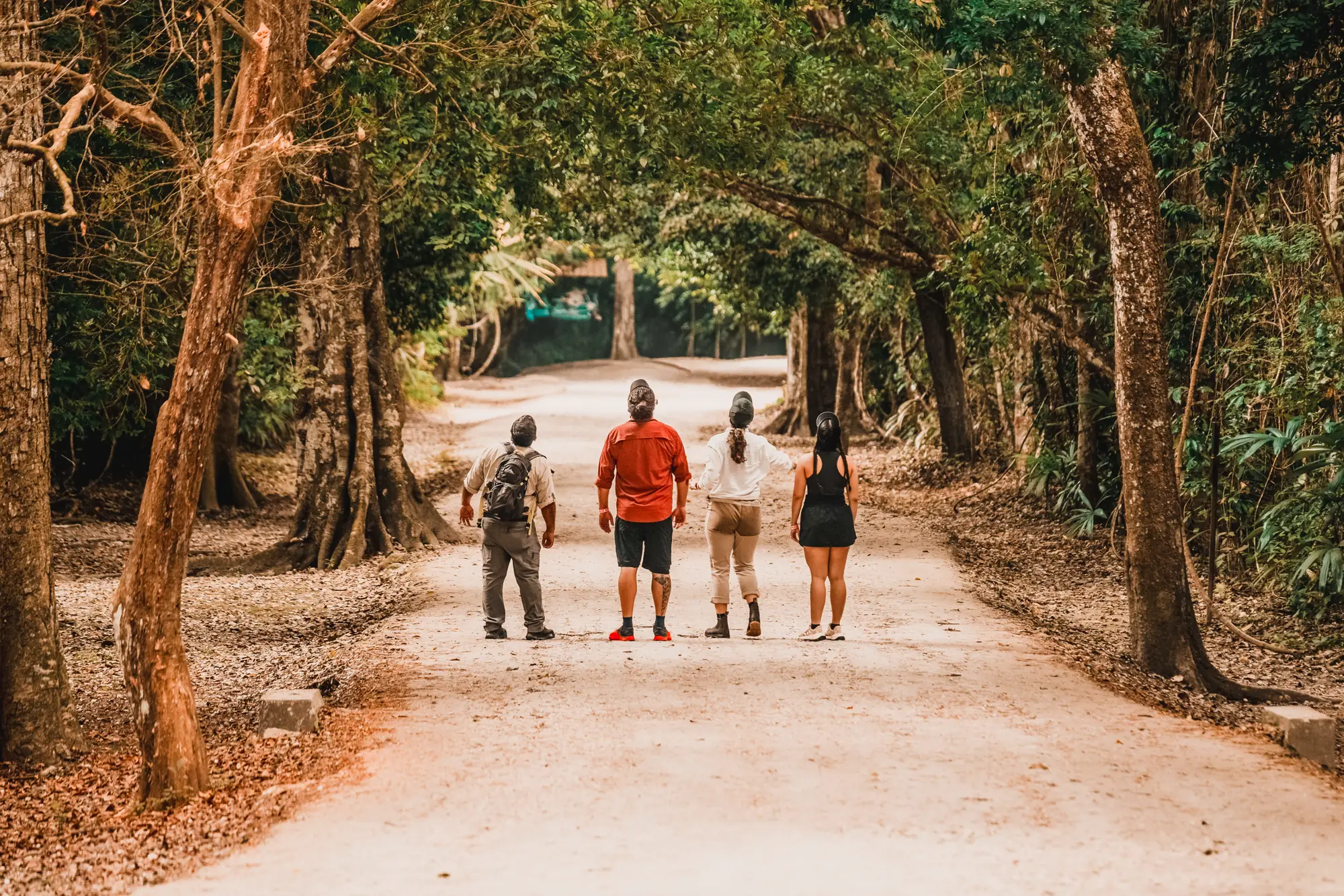 Four travellers walking a jungle road toward Tikal