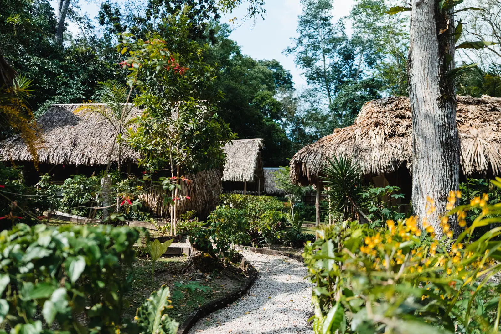 Thatched cabins of a jungle lodge in Petén, Guatemala